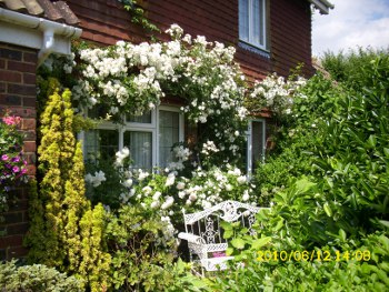 Photo of Entrance to the Cottage